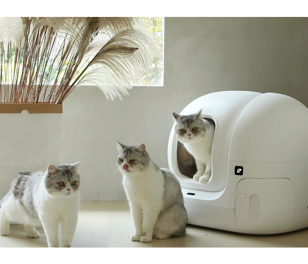 PetKit Inteligentna samoczyszcząca kuweta dla kota PetKit Pura MAX - 1328991 - zdjęcie 5
